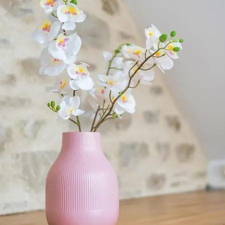 Triplex Cosy Appartement *